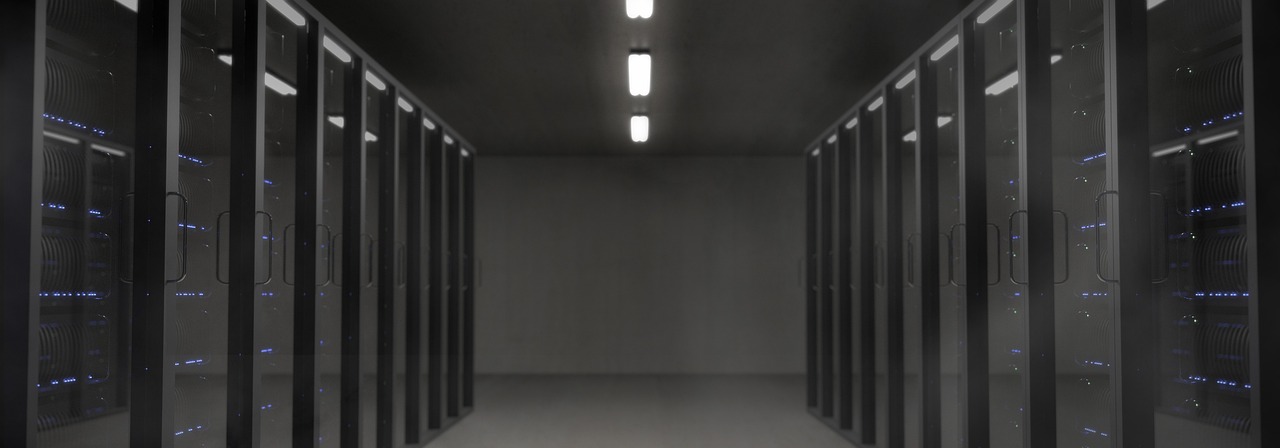 Server backup and recovery for BC businesses